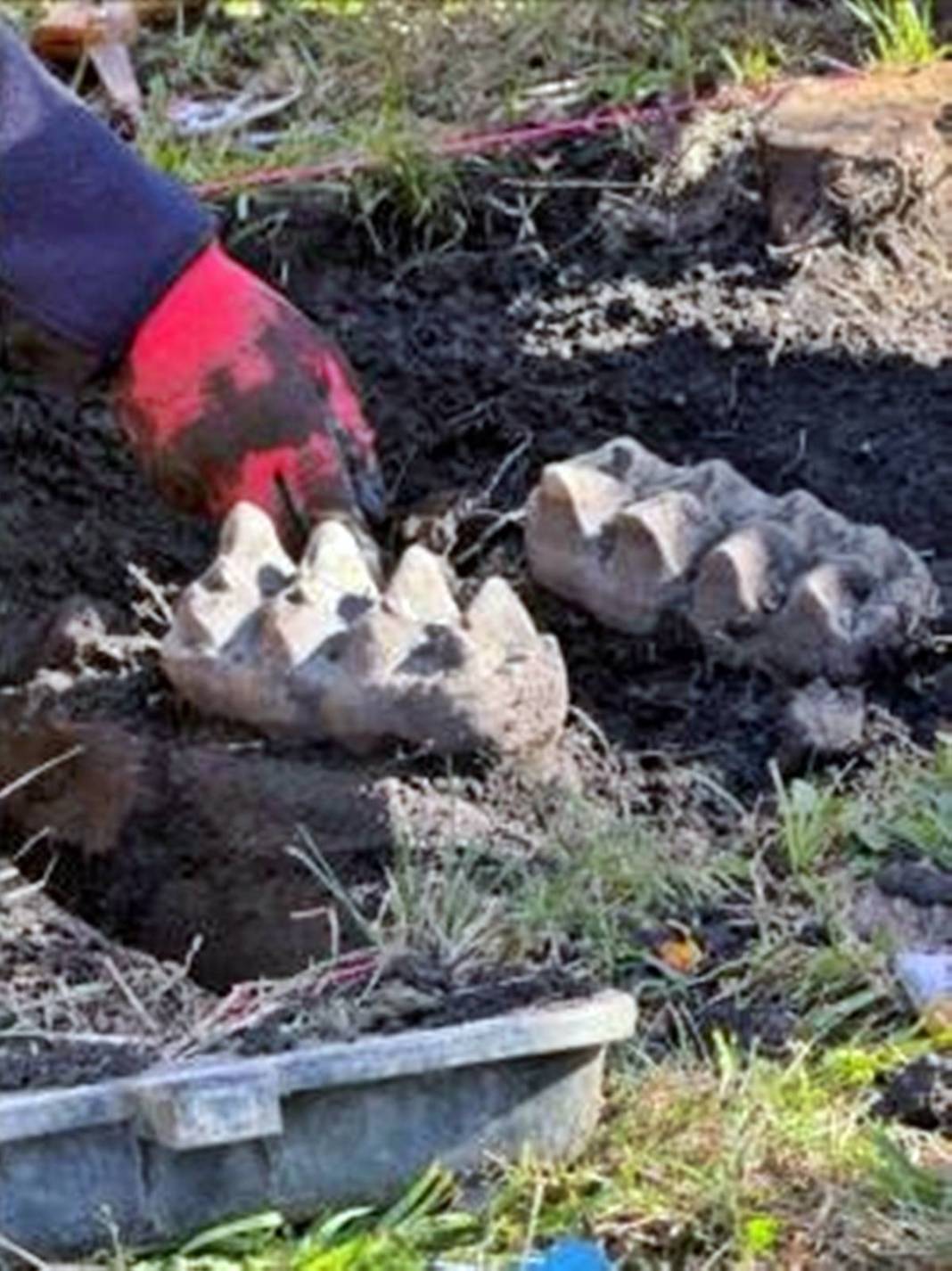 Bahçesini eşelerken bulduğu kemikler şoke etti! Yetkililer apar topar bölgeye gitti, gerçek ortaya çıktı 2